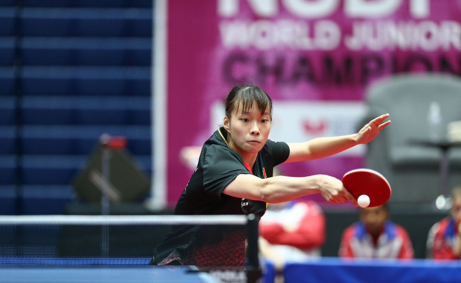 选手的音乐 选手的音乐